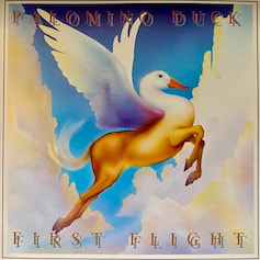 Palomino Duck First Flight