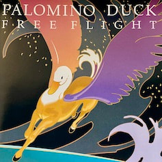 Palomino Duck Free Flight